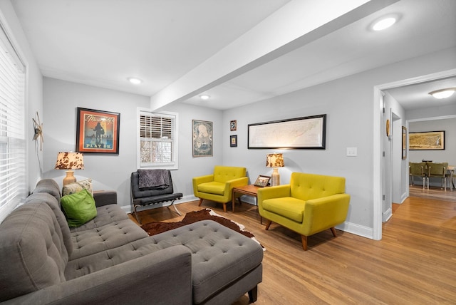 living room with light hardwood / wood-style flooring and plenty of natural light