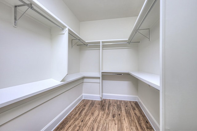 spacious closet featuring dark hardwood / wood-style flooring