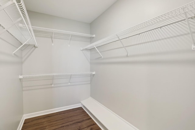 walk in closet with dark wood-type flooring