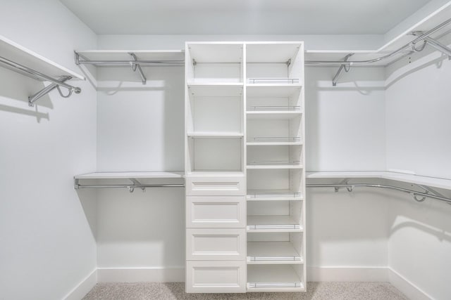 spacious closet featuring light colored carpet