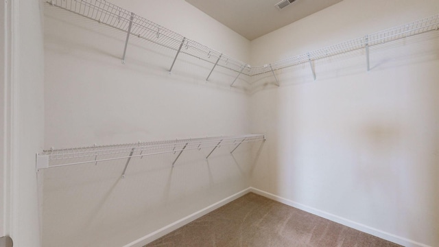 spacious closet with carpet floors