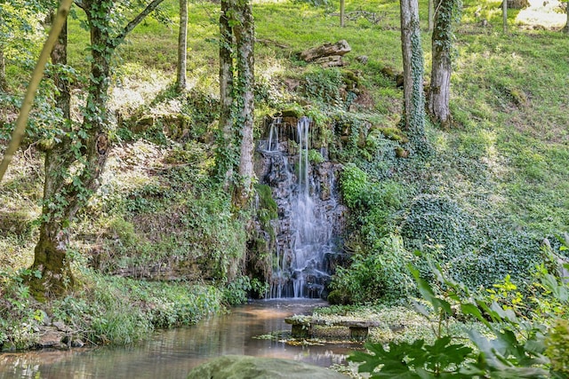 view of landscape featuring a water view