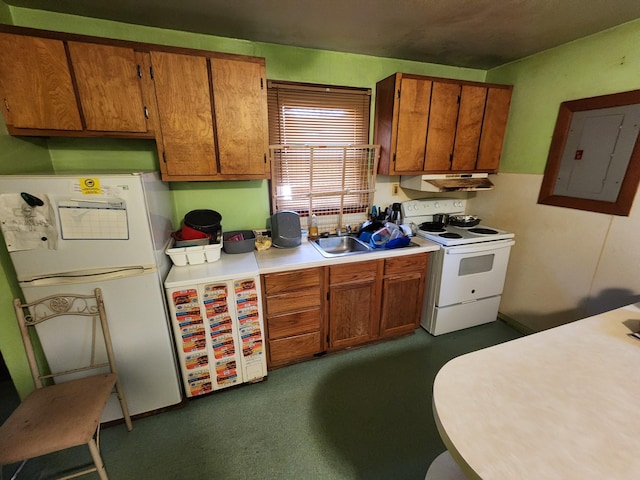 kitchen featuring white appliances, electric panel, and sink