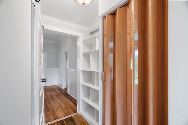 walk in closet with dark hardwood / wood-style floors