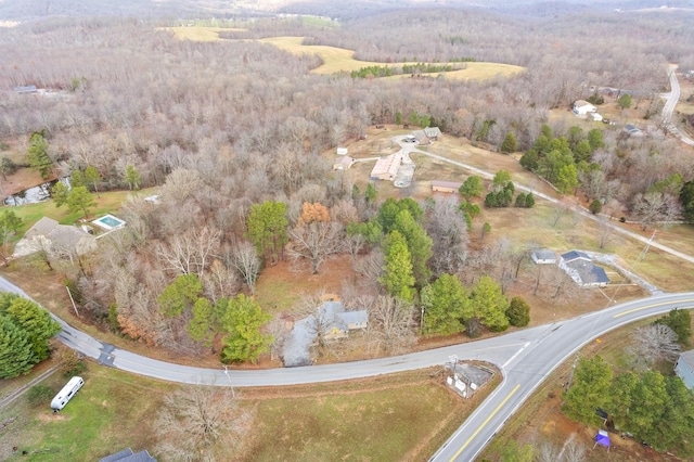drone / aerial view