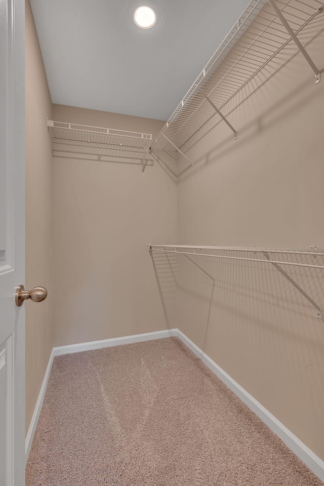 spacious closet with carpet