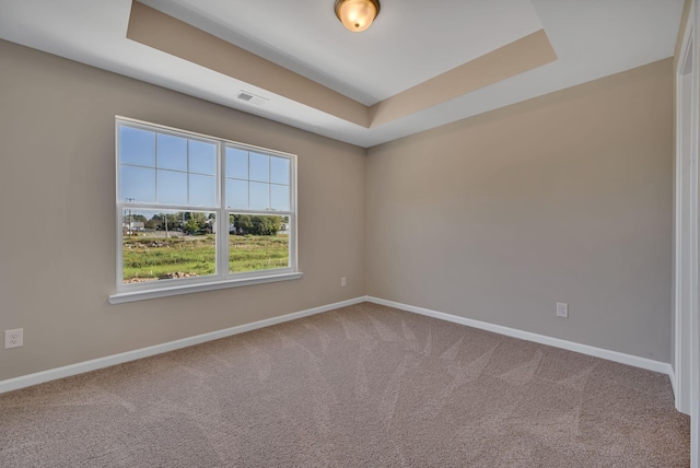 unfurnished room with a raised ceiling and carpet floors