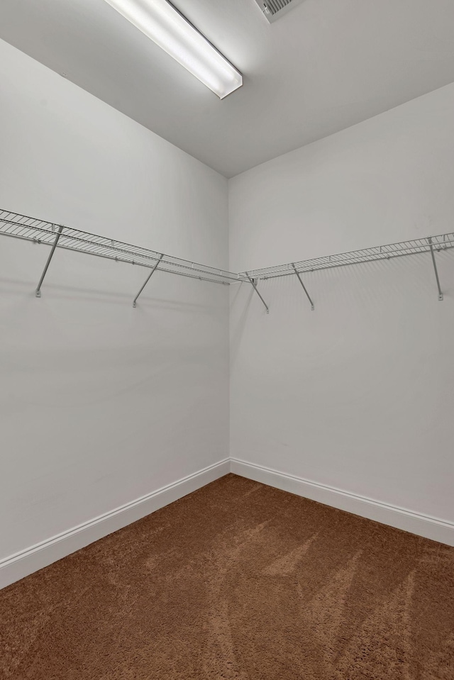 walk in closet with carpet