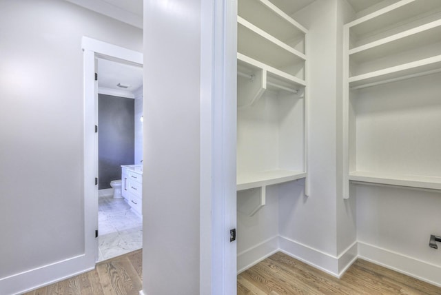 spacious closet featuring light wood-type flooring