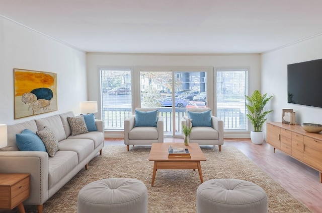 living room with wood-type flooring and ornamental molding