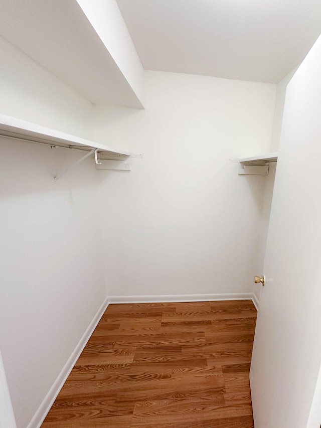 spacious closet with hardwood / wood-style floors