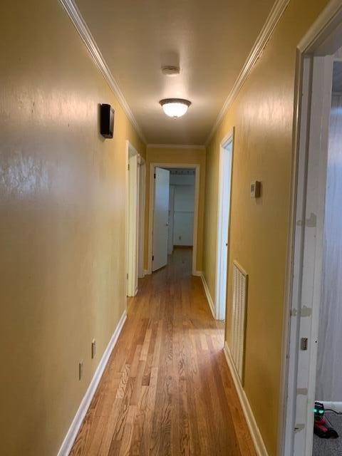 hall featuring light hardwood / wood-style flooring and ornamental molding