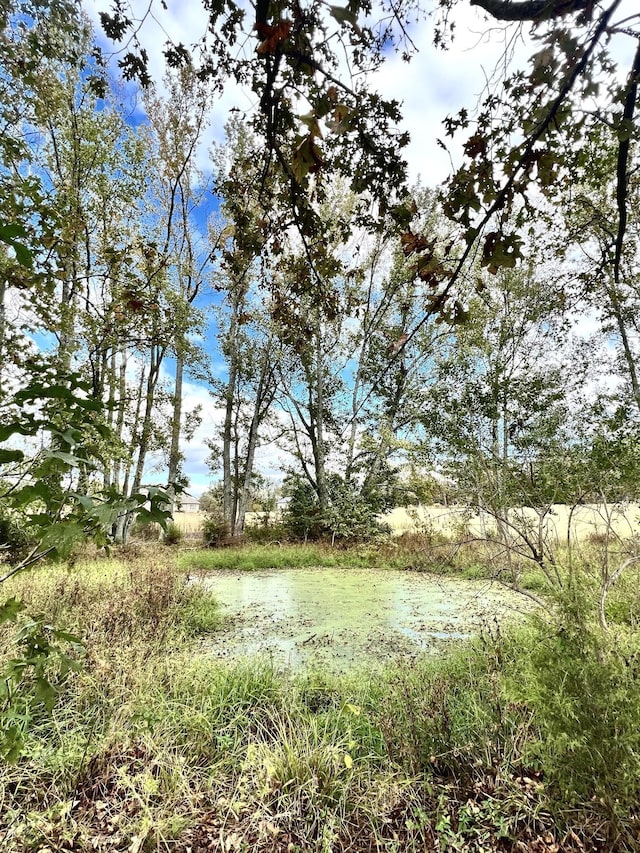 view of landscape