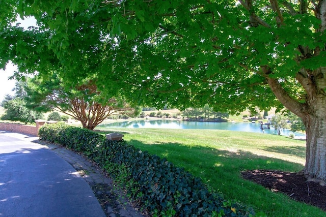 view of yard featuring a water view