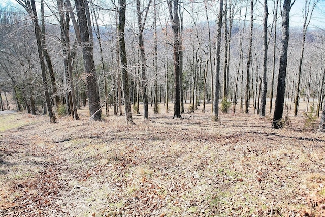 Listing photo 2 for 220 Wilson Cir, Smithville TN 37166