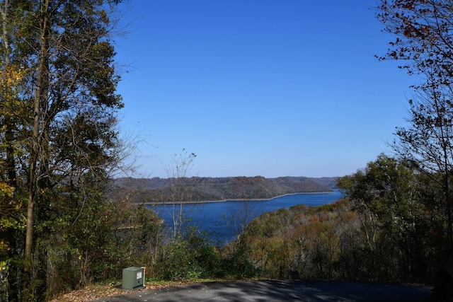 Listing photo 2 for 411 Maury Ln, Smithville TN 37166