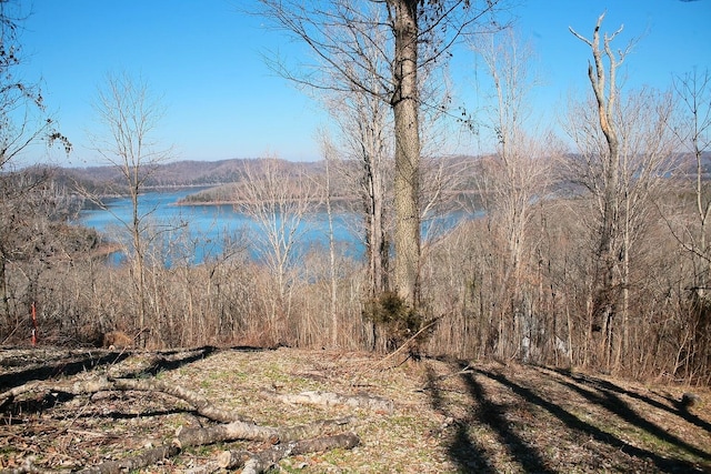 409 Maury Ln, Smithville TN, 37166 land for sale