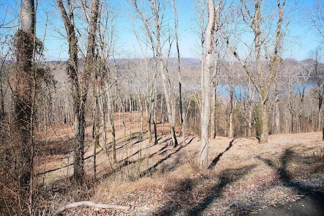 Listing photo 2 for 409 Maury Ln, Smithville TN 37166