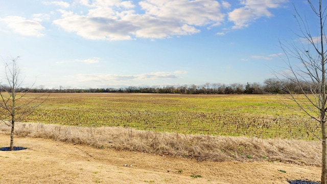 view of local wilderness with a rural view