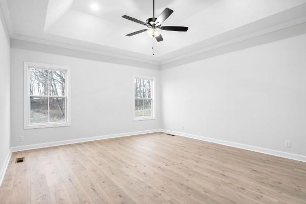 empty room featuring a tray ceiling, a healthy amount of sunlight, and light wood-type flooring