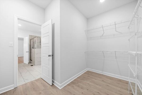 spacious closet featuring hardwood / wood-style floors