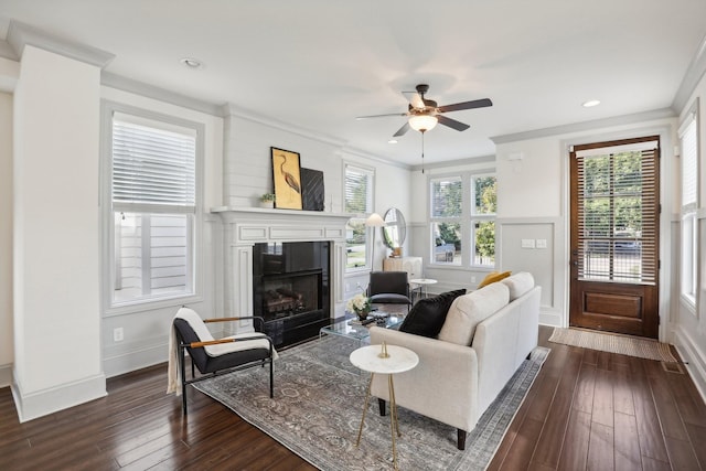 living room featuring ceiling fan, ornamental molding, and dark wood-type flooring