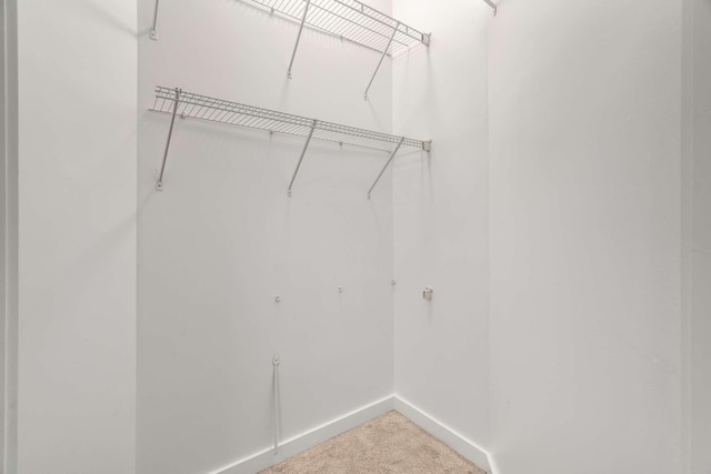 walk in closet featuring carpet flooring