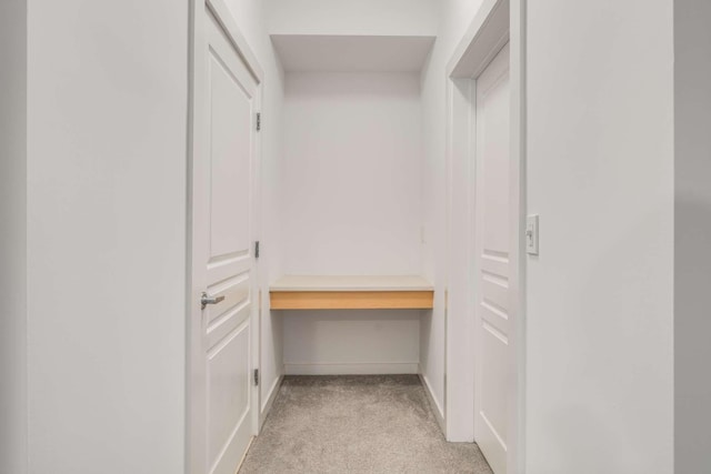 spacious closet featuring light carpet