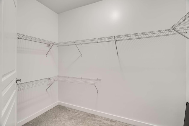 walk in closet with carpet