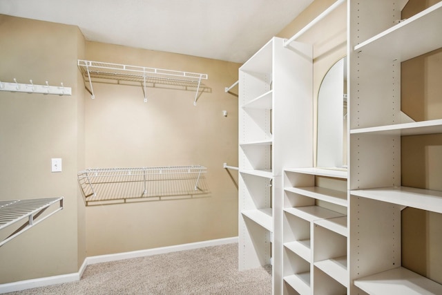 spacious closet with carpet floors