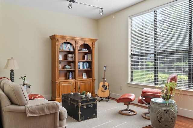 sitting room featuring track lighting