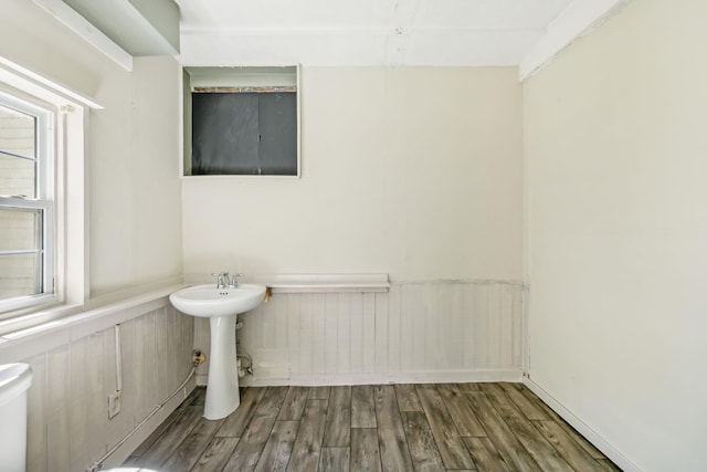 bathroom featuring hardwood / wood-style flooring and sink