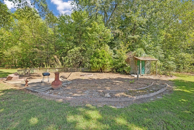 view of yard featuring a storage shed