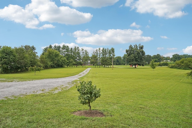 view of property's community featuring a yard