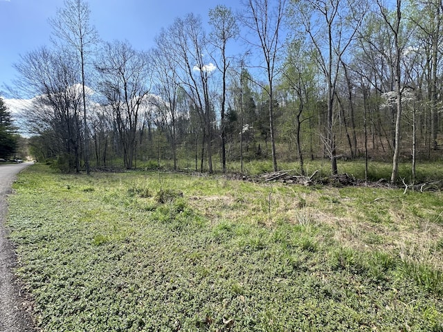 Listing photo 2 for 0 Logan Rd, Cunningham TN 37052