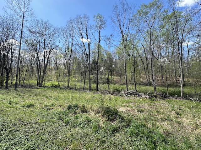 Listing photo 3 for 0 Logan Rd, Cunningham TN 37052