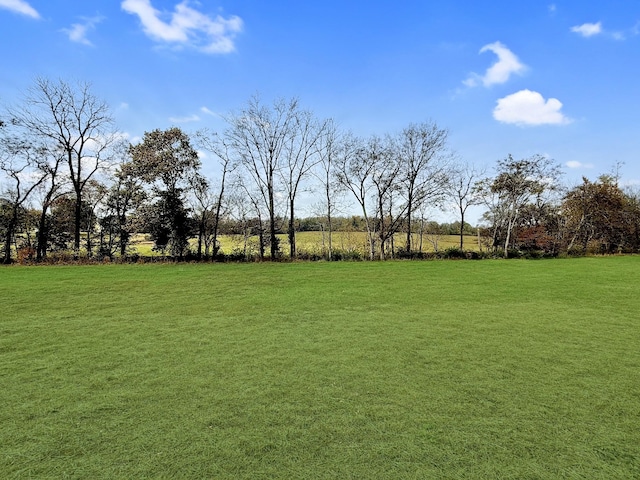 view of yard with a rural view