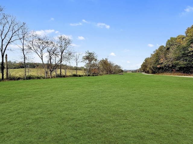 view of yard featuring a rural view