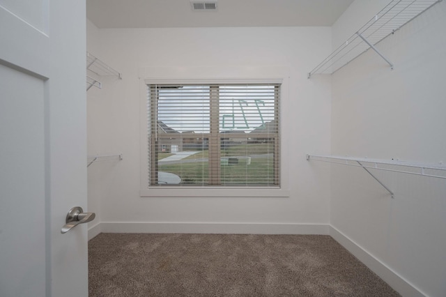 walk in closet with carpet flooring