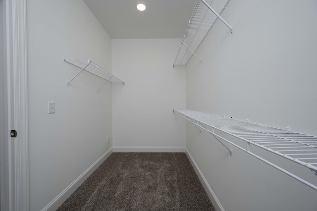 walk in closet with dark colored carpet