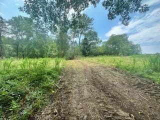 0 Wallace Rd, Gallatin TN, 37066 land for sale