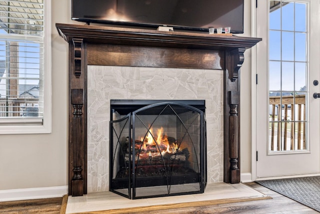 room details with hardwood / wood-style floors