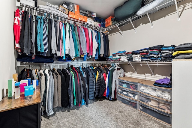 spacious closet with carpet flooring