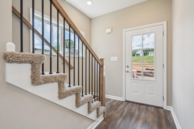 entrance foyer with dark wood-type flooring