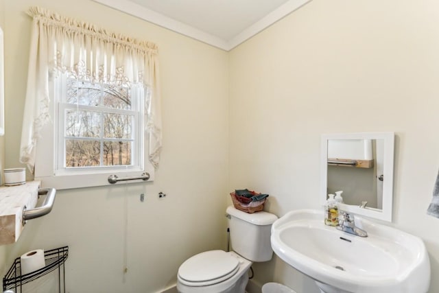 bathroom with a wealth of natural light, sink, crown molding, and toilet