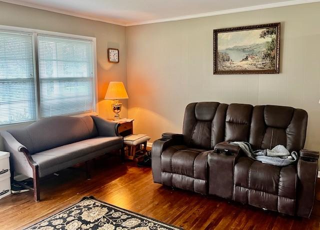 living room featuring ornamental molding and dark wood-type flooring