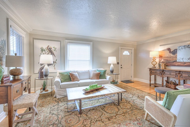 living room with ornamental molding, a textured ceiling, and light hardwood / wood-style floors