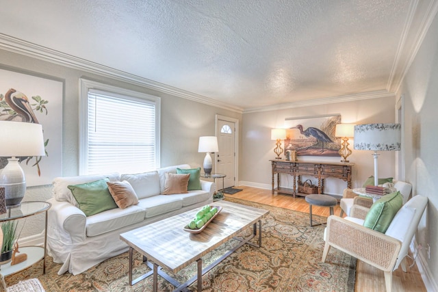 living room featuring ornamental molding, light hardwood / wood-style floors, and a textured ceiling