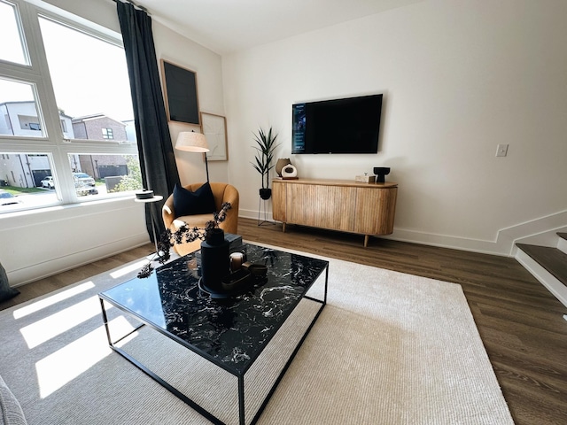 living room with dark hardwood / wood-style flooring