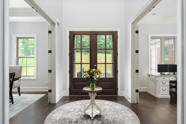 entryway with dark hardwood / wood-style flooring, a wealth of natural light, and french doors